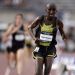 abdi10k1
