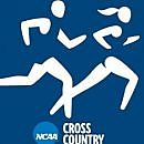 2008 NCAA Cross Country Championships