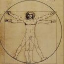 Therapy, Prehab and Rehab