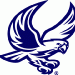 Falcon bird 295