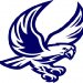Falcon bird 295
