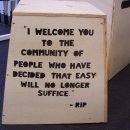 A Look Into the Counter Culture