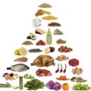 Loren Cordain and Other Nutrition Experts