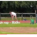 Screen shot 2010 09 16 at 14 15 12