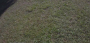 FSC#1 Tom Brown Park - Tallahasee, FL 9/12/2010