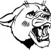 cougar jpeg  1 