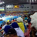n14803947_40797971_5327