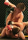 MMA Fighting and Training