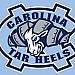 UNC Summer