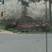 Lock Haven Spring 2010 (GOhioCasts)