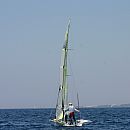 IMG_2984