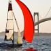1004564_STORCKMOORE49ER