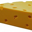 2009 Cheesehead