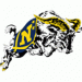 2010 College Atlantic Coast Championship