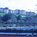Dorms