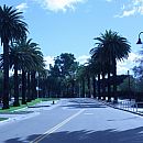 Campus Drive