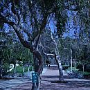 Campus Walk Way