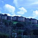 Dorms