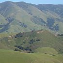 Poly Hills