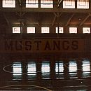 pic 14