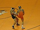 Mustangs in Action 2009-2010