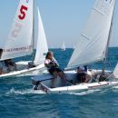 Skyline Regatta