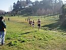 Canterbury XC Champs