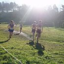 Andrew Davidson & Rowan Hooper