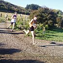 Matt Harris