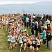 Mens Race 1