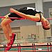 2010 Indoor Great Southwest Classic Summary
