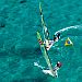 9erWorlds_20100108_5821