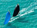 9erWorlds_20100108_5831