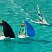 9erWorlds_20100108_5841