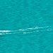 9erWorlds_20100108_5870