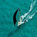 9erWorlds_20100108_5873