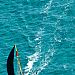 9erWorlds_20100108_5905