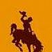 Wyoming Cowboys
