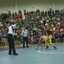 Reser's TOC 