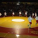 Picture 003