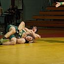 Picture 019
