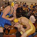 Picture 042