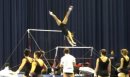 2011 Gymnastics Season Coverage Begins!