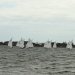 IMG 0075