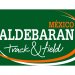 Logo Verde