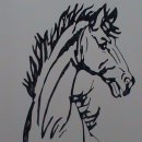 The Cruiser Invitational - 2011