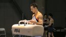 Daniel Ribeiro - Pommel Horse - 2011 Winter Cup Day 1 - 16.00!