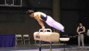 Glen Ishino, Pommel Horse,  2011 Winter Cup Day 1, 14.90