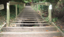 Dipsea Trail - Mill Valley, CA
