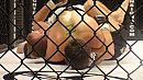DSC04293